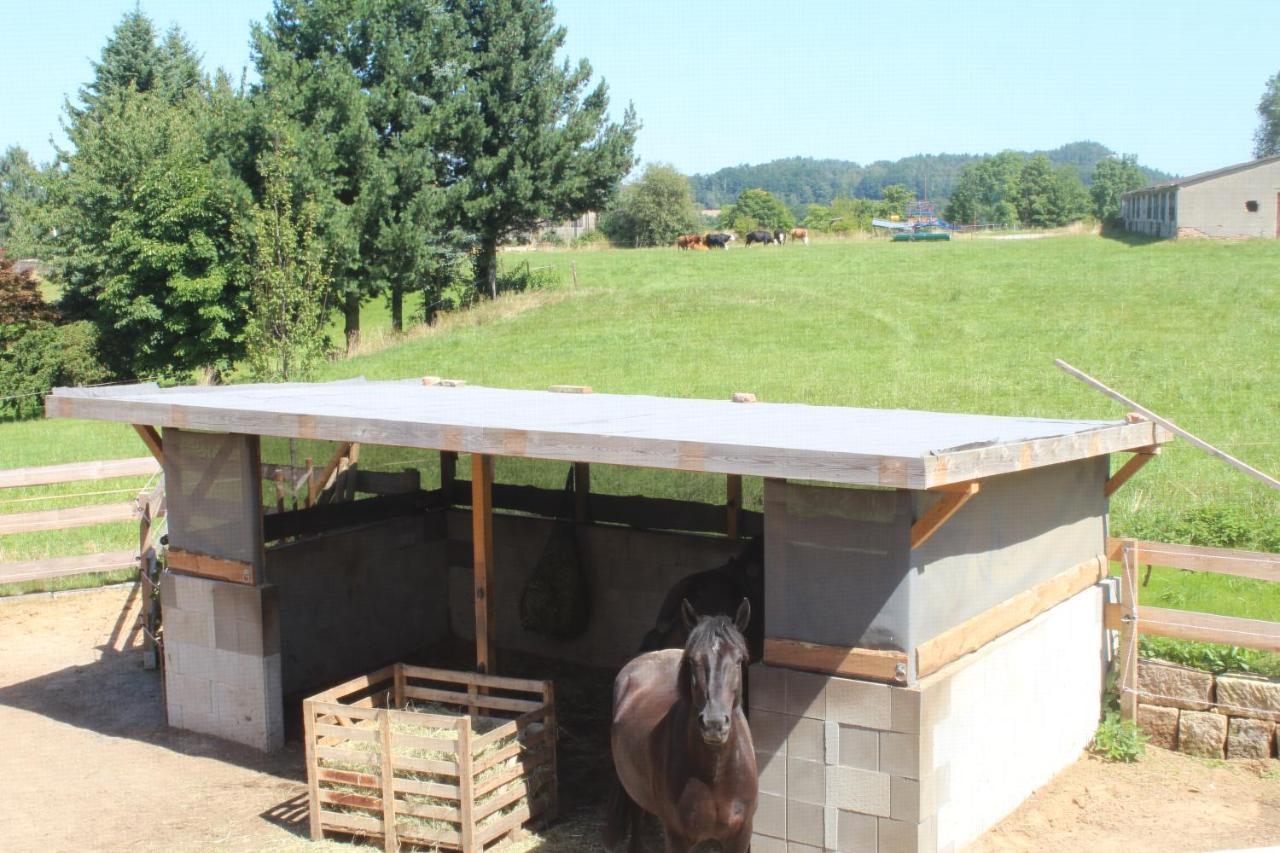 Ferienwohnung Feldblick Struppen Екстериор снимка